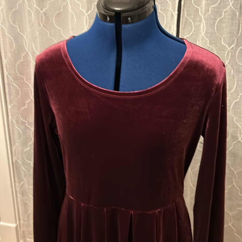 Appleseeds Long Maxi Purple Long Sleeve Velour Velvet Dress Wicca Mystic - Picture 3 of 6